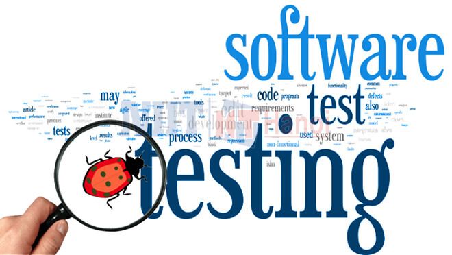 Software Tester