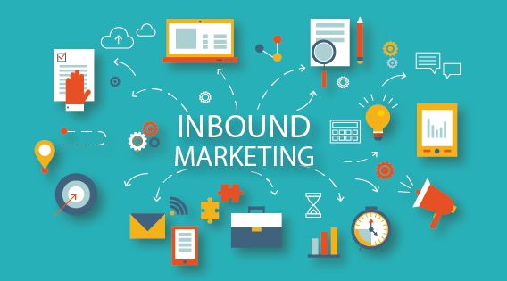 Senior Digital Marketing